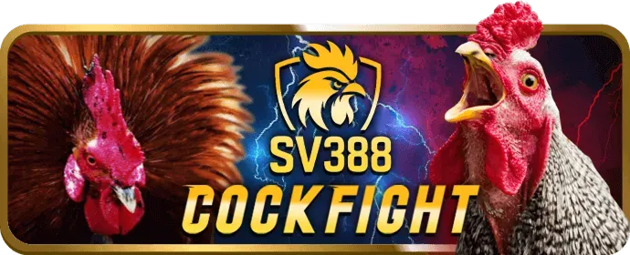 Ưu đãi chào mừng rr88 login